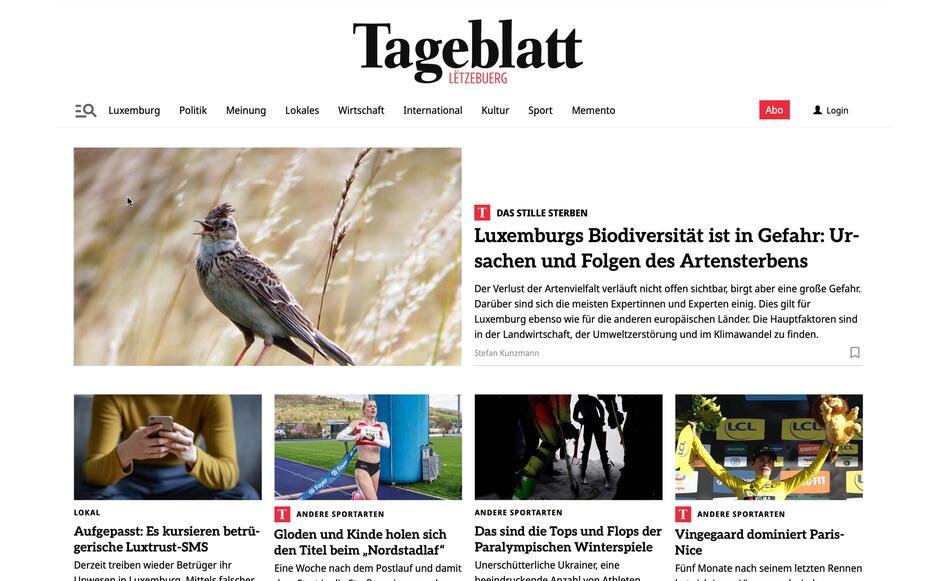 Dialog Web-Portal Tageblatt Editpress